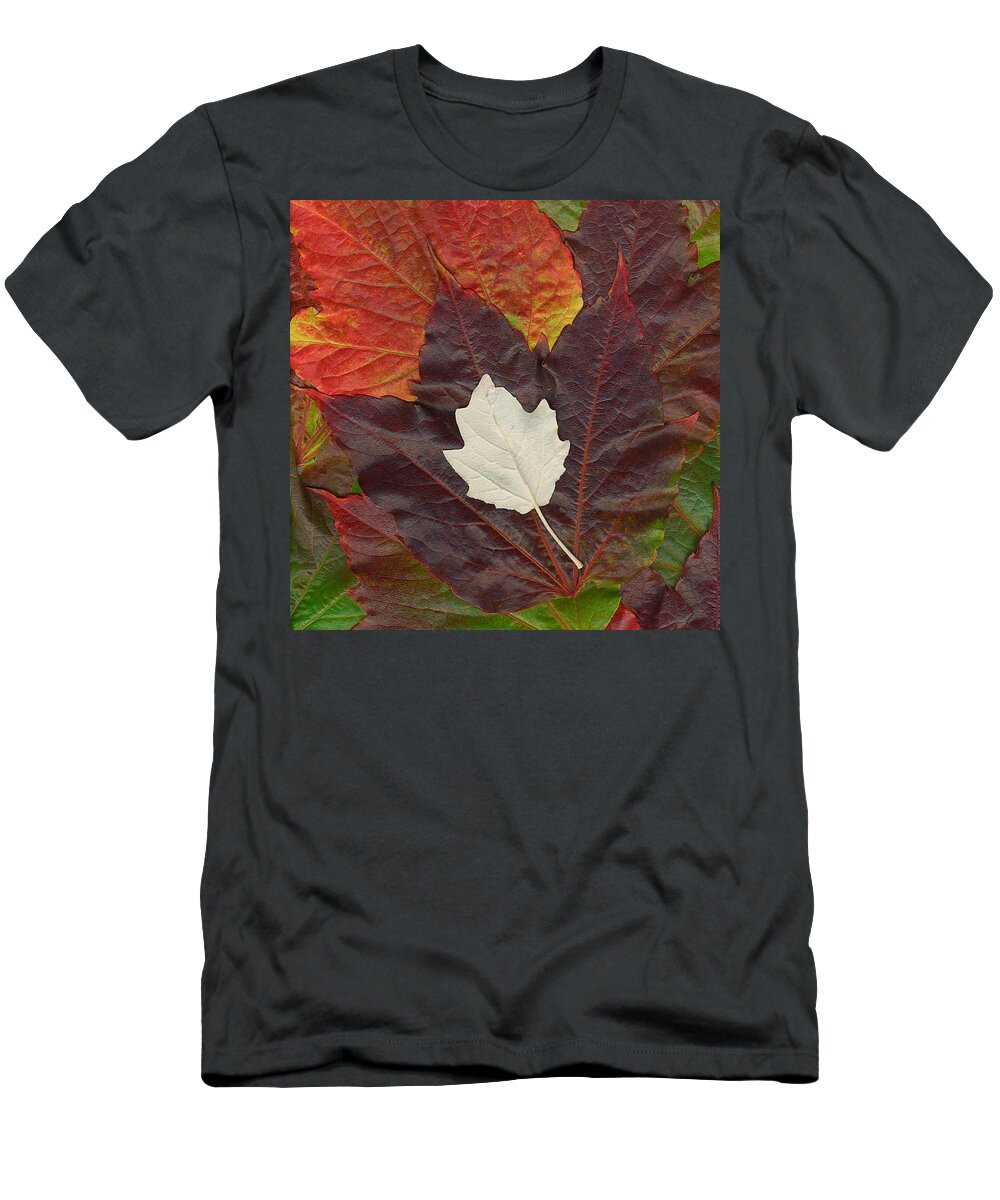 Autumn T-Shirt featuring the photograph Autumn Leaves by Eggers Photography