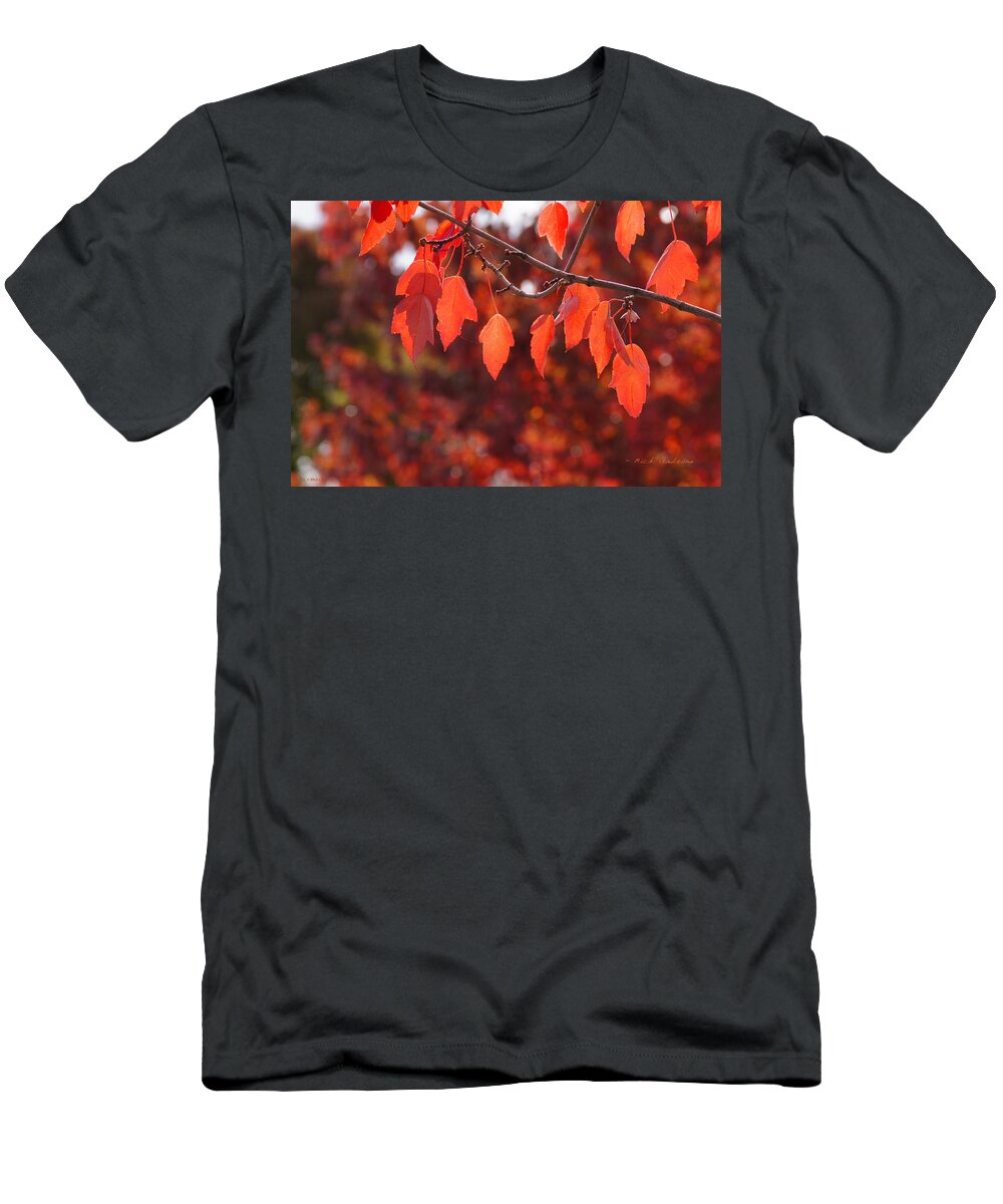 Medford T-Shirt featuring the photograph Autumn Leaves in Medford by Mick Anderson