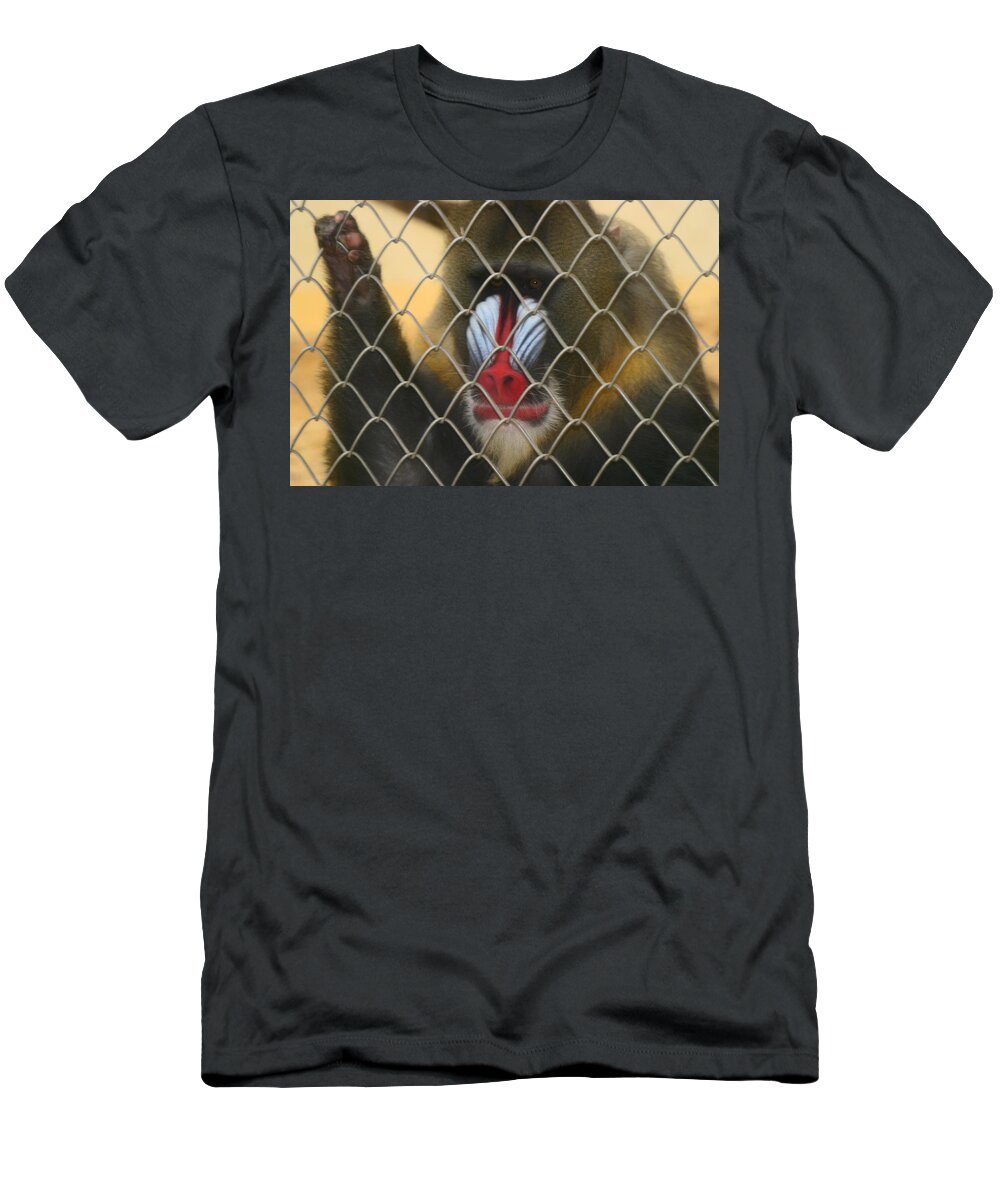 Baboon T-Shirt featuring the photograph Baboon Behind Bars by Kym Backland