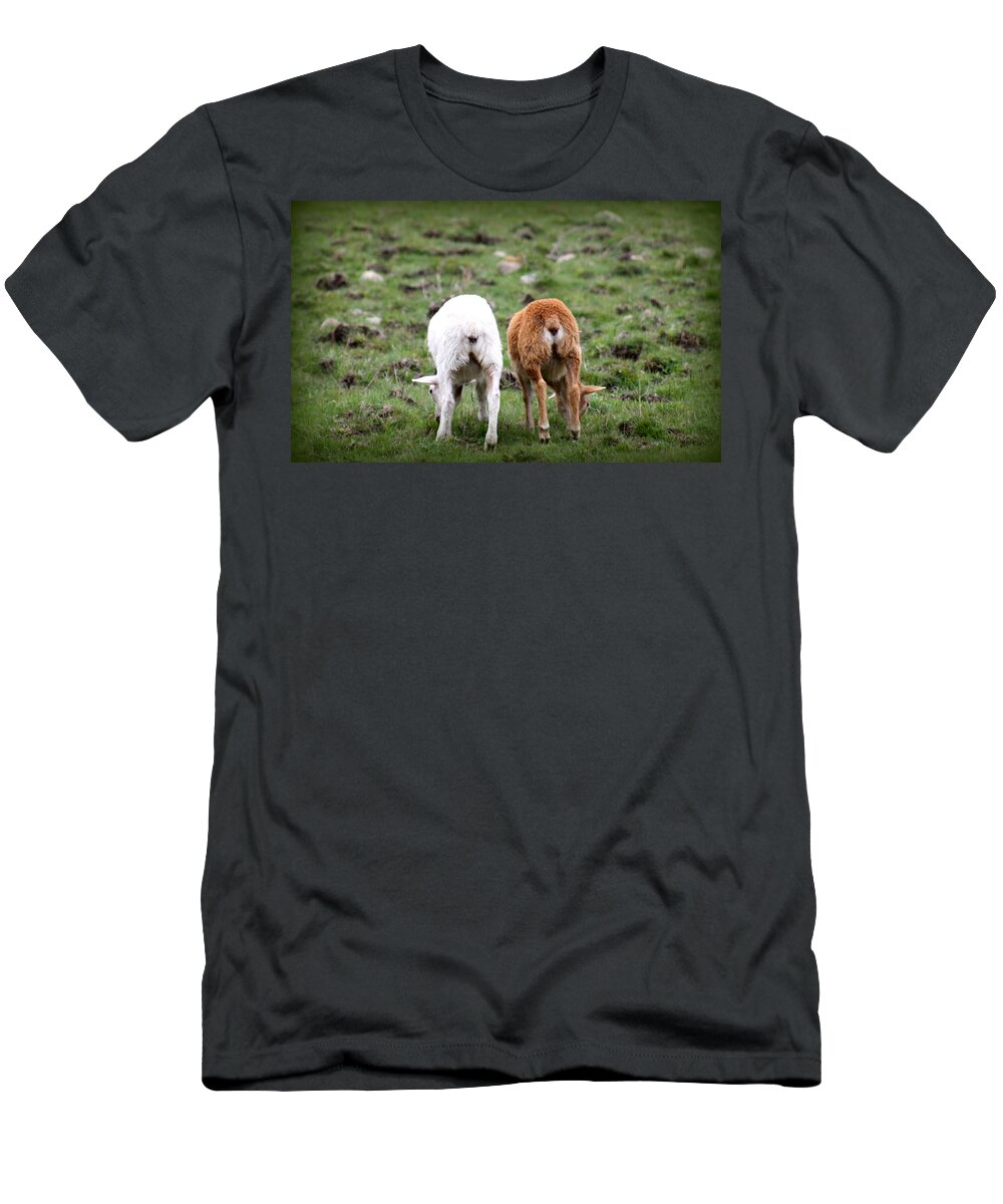 Baby Lambs T-Shirt featuring the photograph Baby Side By Side Love by Kim Galluzzo