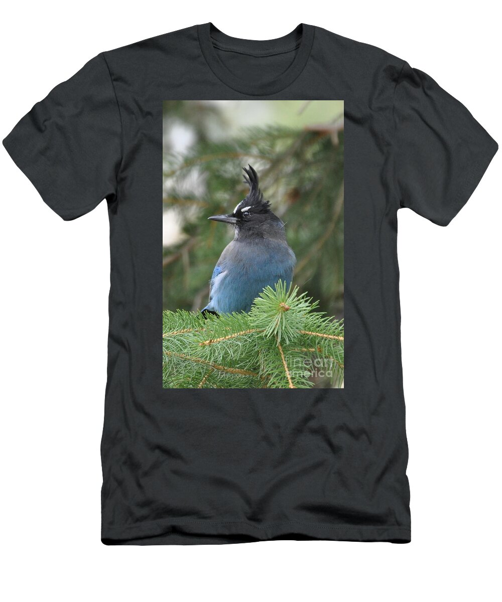 Birds T-Shirt featuring the photograph Bad Hair Day by Dorrene BrownButterfield