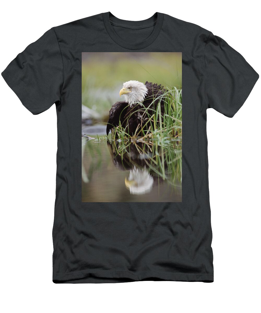 00170427 T-Shirt featuring the photograph Bald Eagle With Reflection At The Edge by Tim Fitzharris
