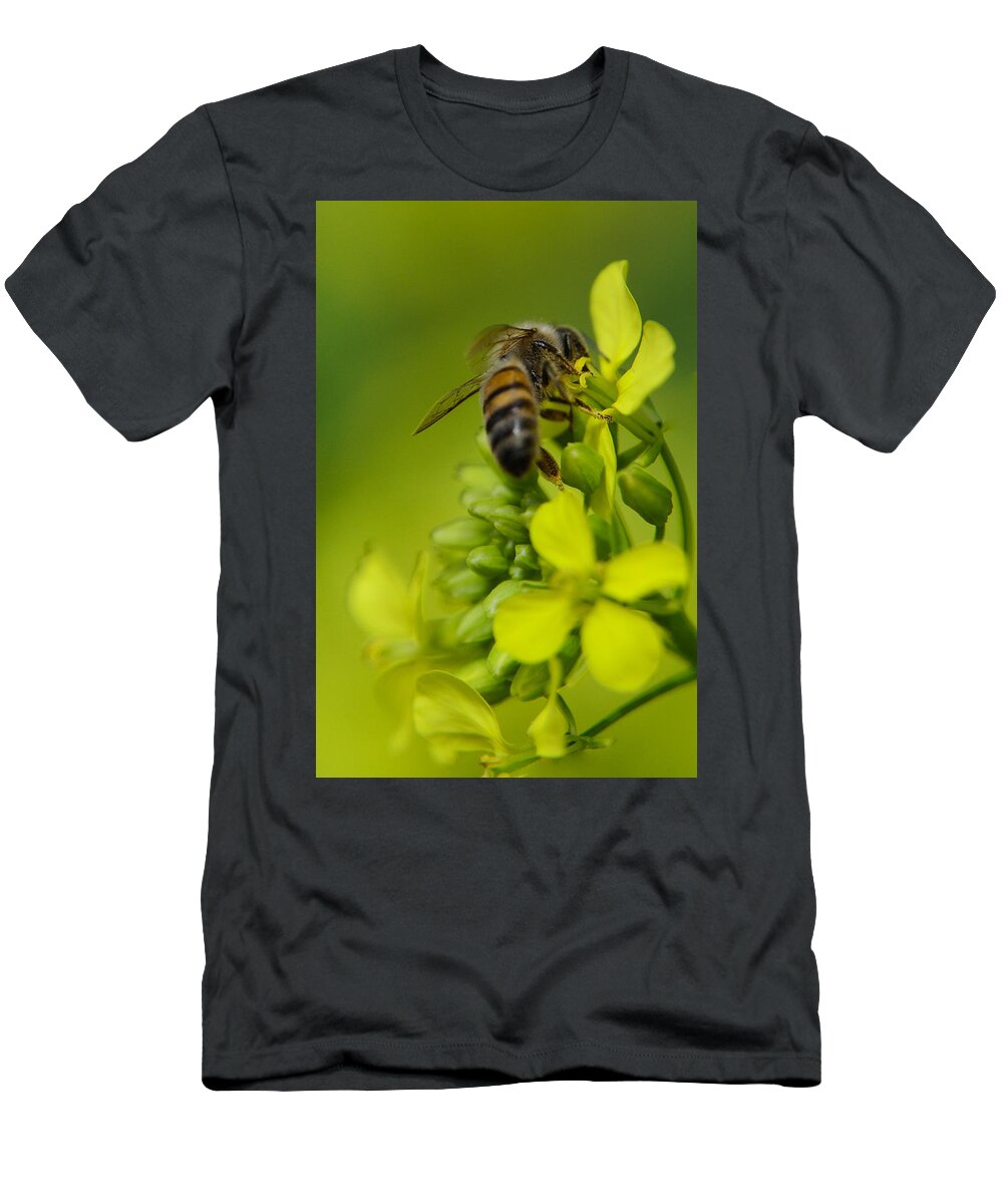 Background T-Shirt featuring the photograph Bee on a yellow background by Michael Goyberg