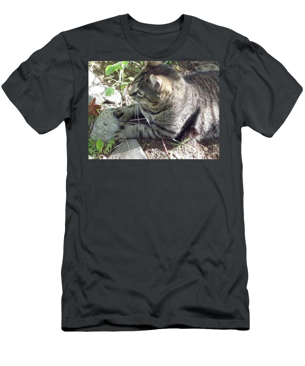 Cat T-Shirt featuring the photograph Big Foot by Kim Galluzzo