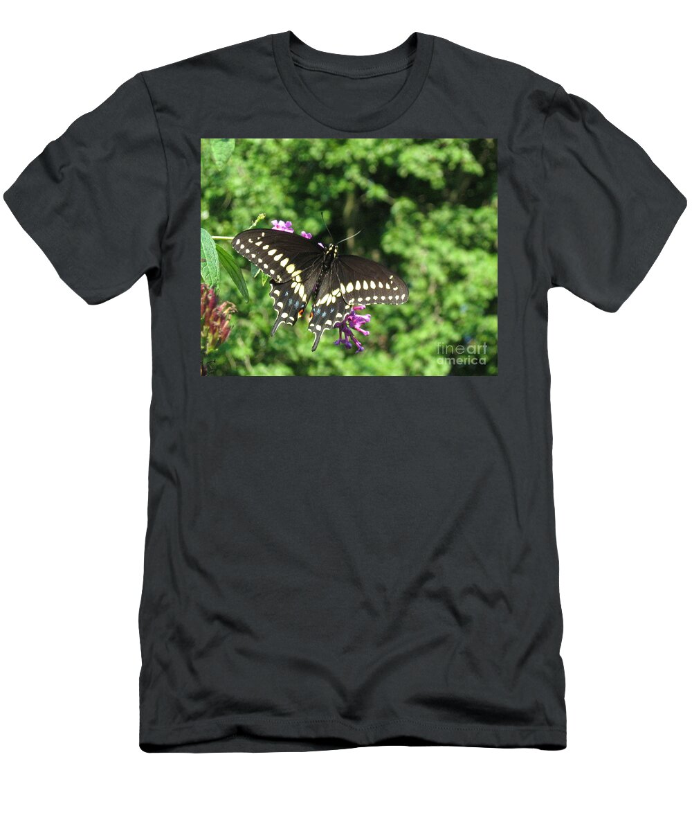 Black Swallowtail Butterfly T-Shirt featuring the photograph Black Beauty by Nancy Patterson