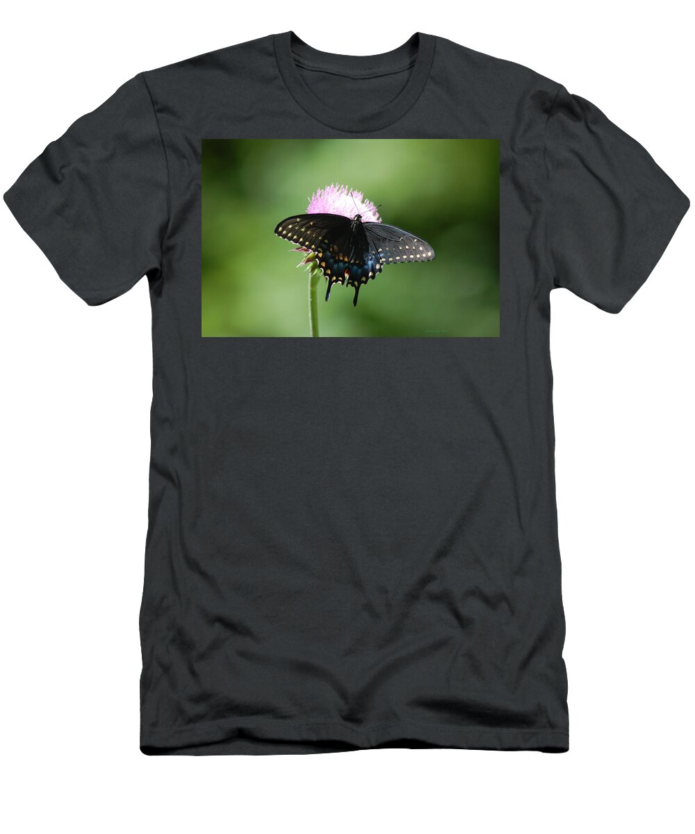 Black Swallowtail T-Shirt featuring the photograph Black Swallowtail in Macro by Susan Stevens Crosby