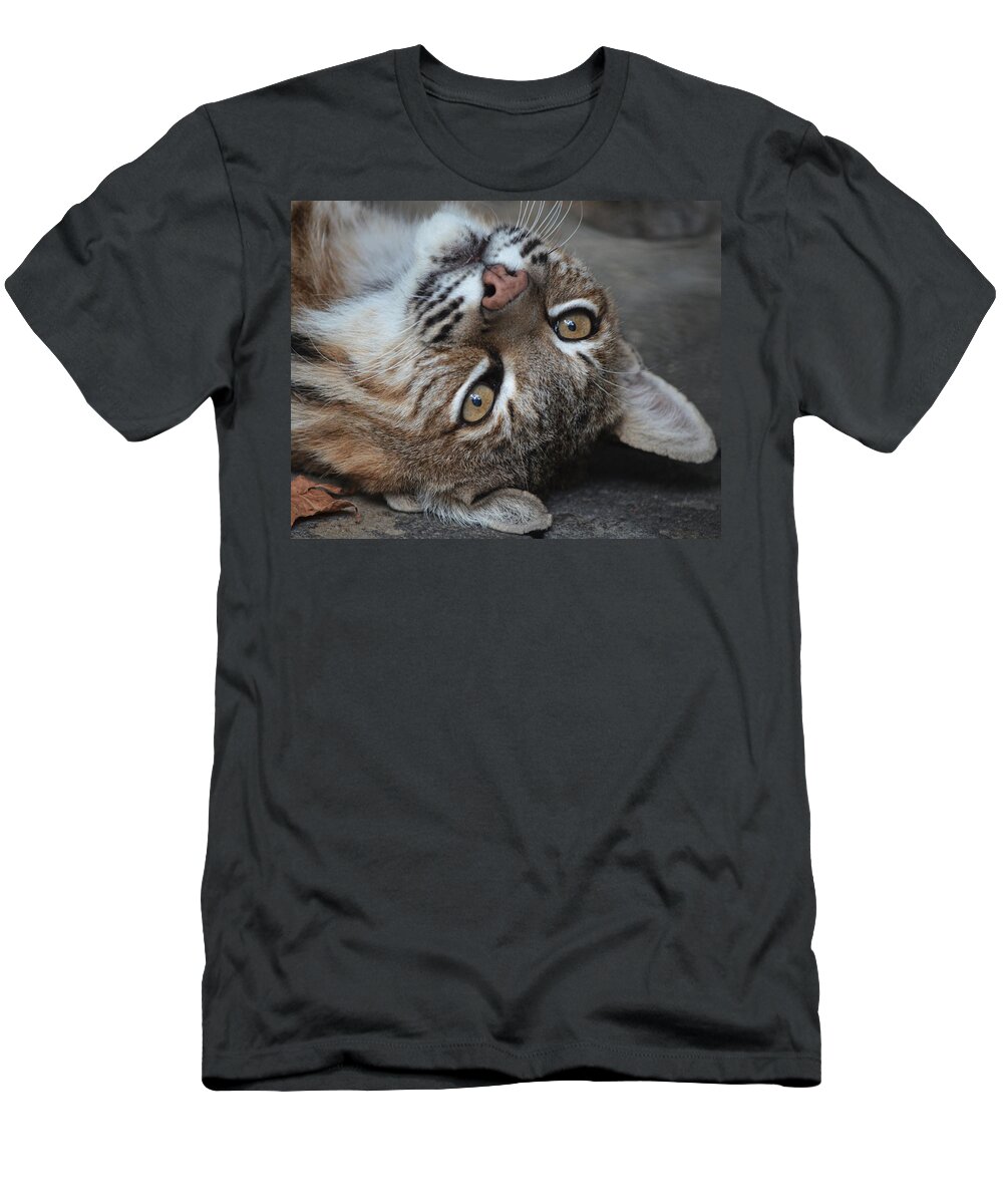 Wild Animal T-Shirt featuring the photograph Bobcat Smile by Maggy Marsh