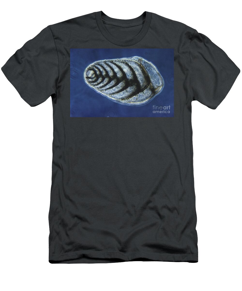 Science T-Shirt featuring the photograph Bolivina Robusta Lm by Eric V. Grave