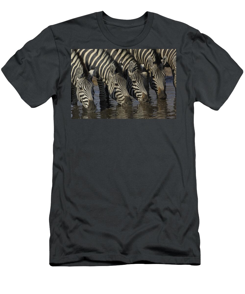 00217974 T-Shirt featuring the photograph Burchells Zebras Drinking by Pete Oxford
