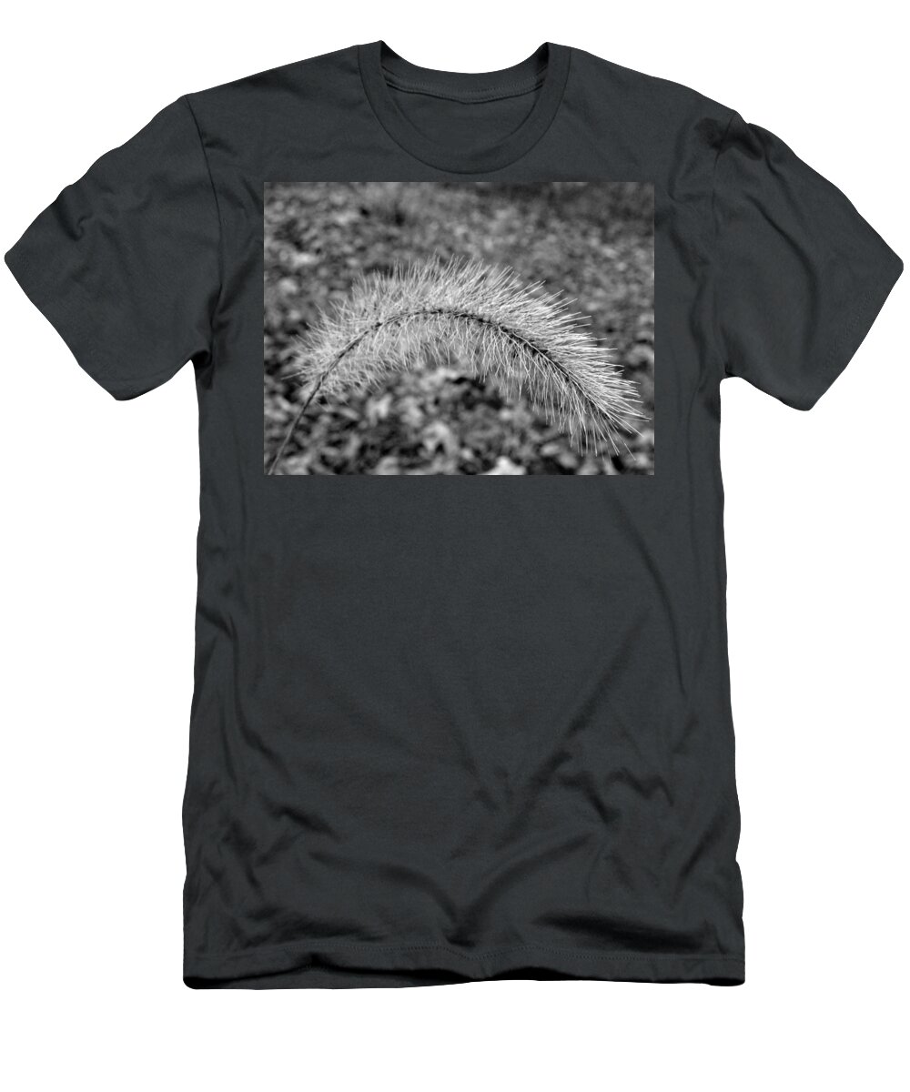 Fuzzy T-Shirt featuring the photograph Burst In The Woods by Kim Galluzzo Wozniak