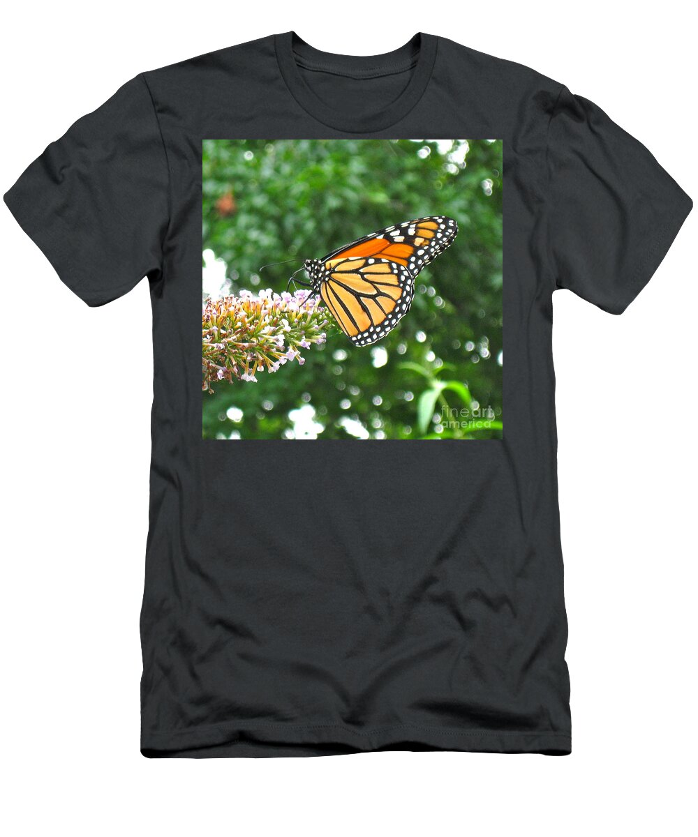 Monarch Butterfly T-Shirt featuring the photograph Busy Butterfly by Nancy Patterson