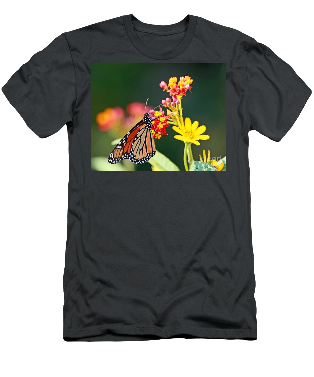 Butterfly T-Shirt featuring the photograph Butterfly Monarch on Lantana Flower by Luana K Perez