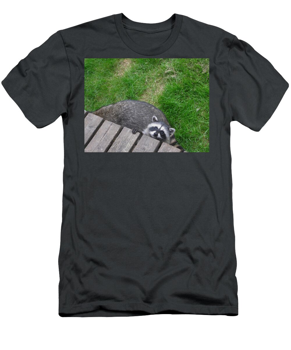 Raccoon Baby T-Shirt featuring the photograph Can You See Me Now by Kym Backland