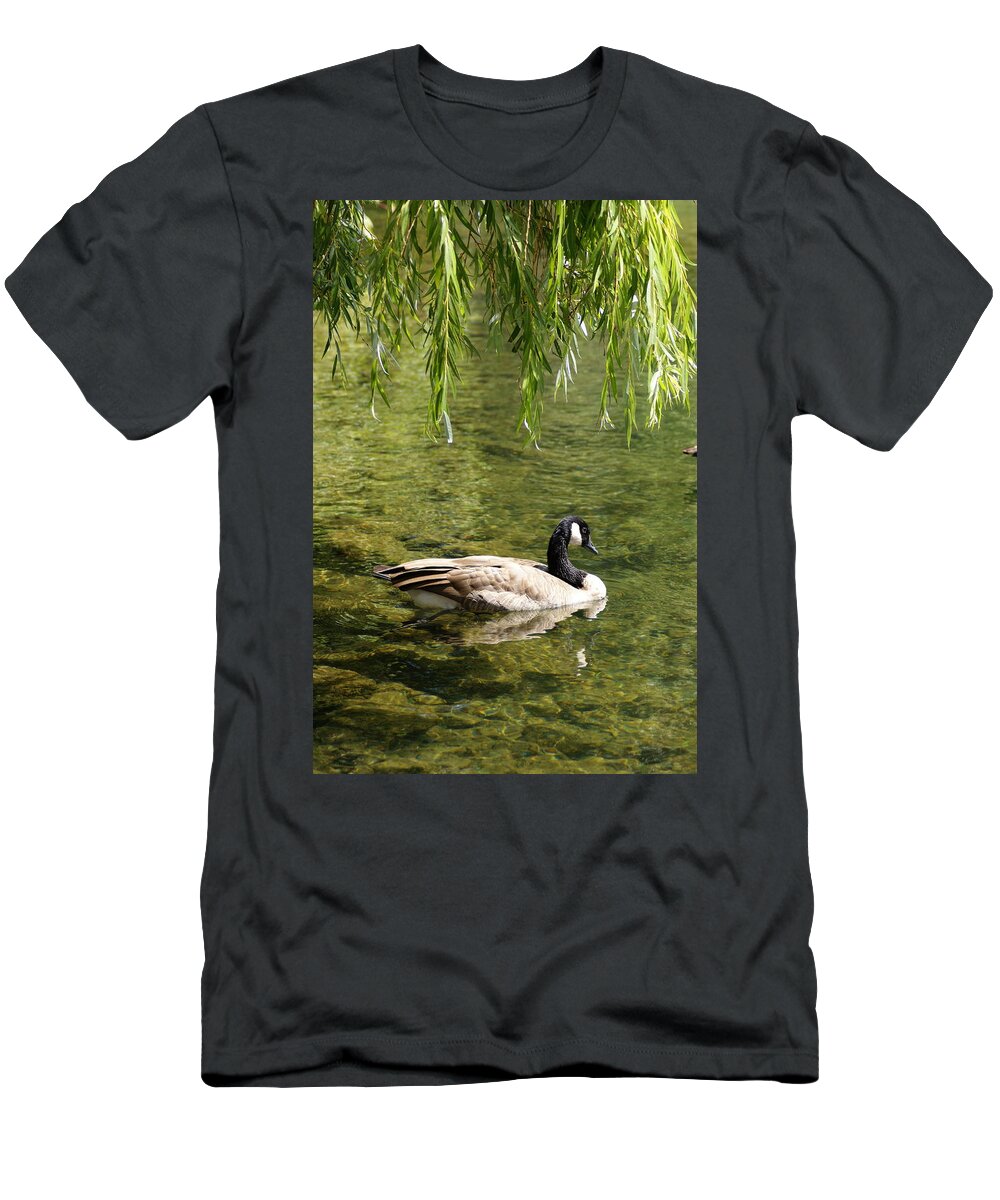 Canadian Goose T-Shirt featuring the photograph Canadian Goose on River Under Willow by Ben Upham III