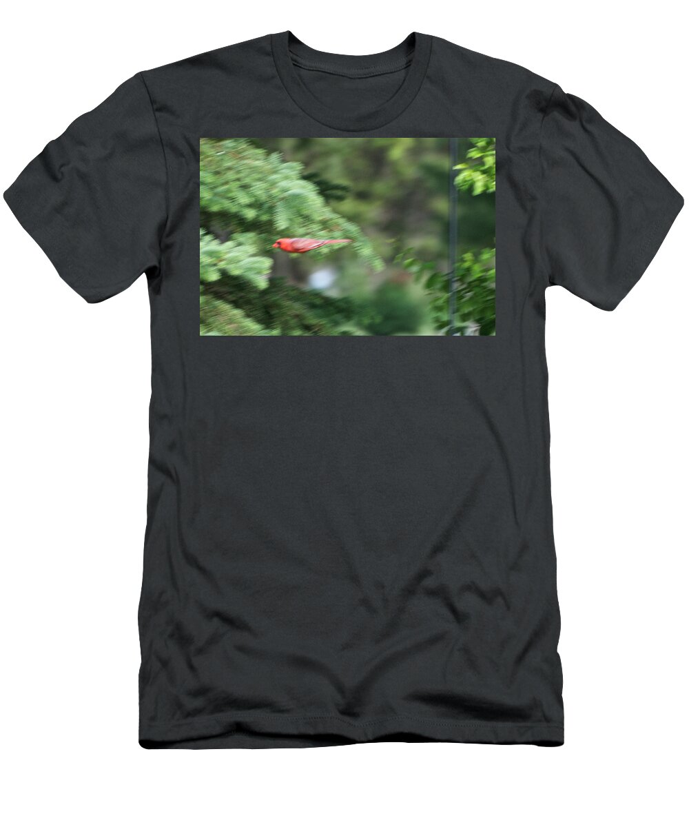 Animals T-Shirt featuring the photograph Cardinal in Flight by Thomas Woolworth