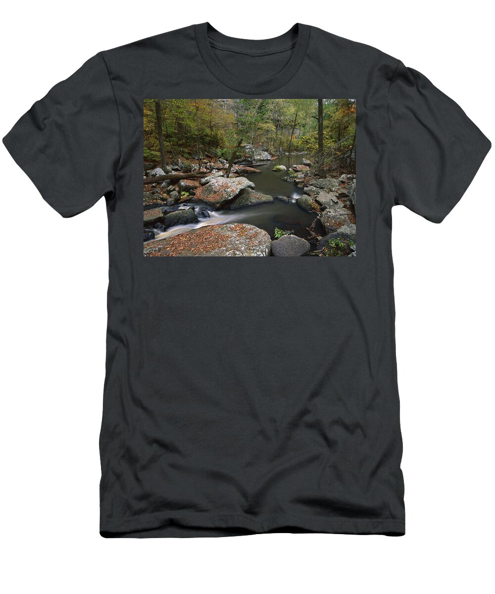 00174932 T-Shirt featuring the photograph Cedar Creek Flowing Through Deciduous by Tim Fitzharris