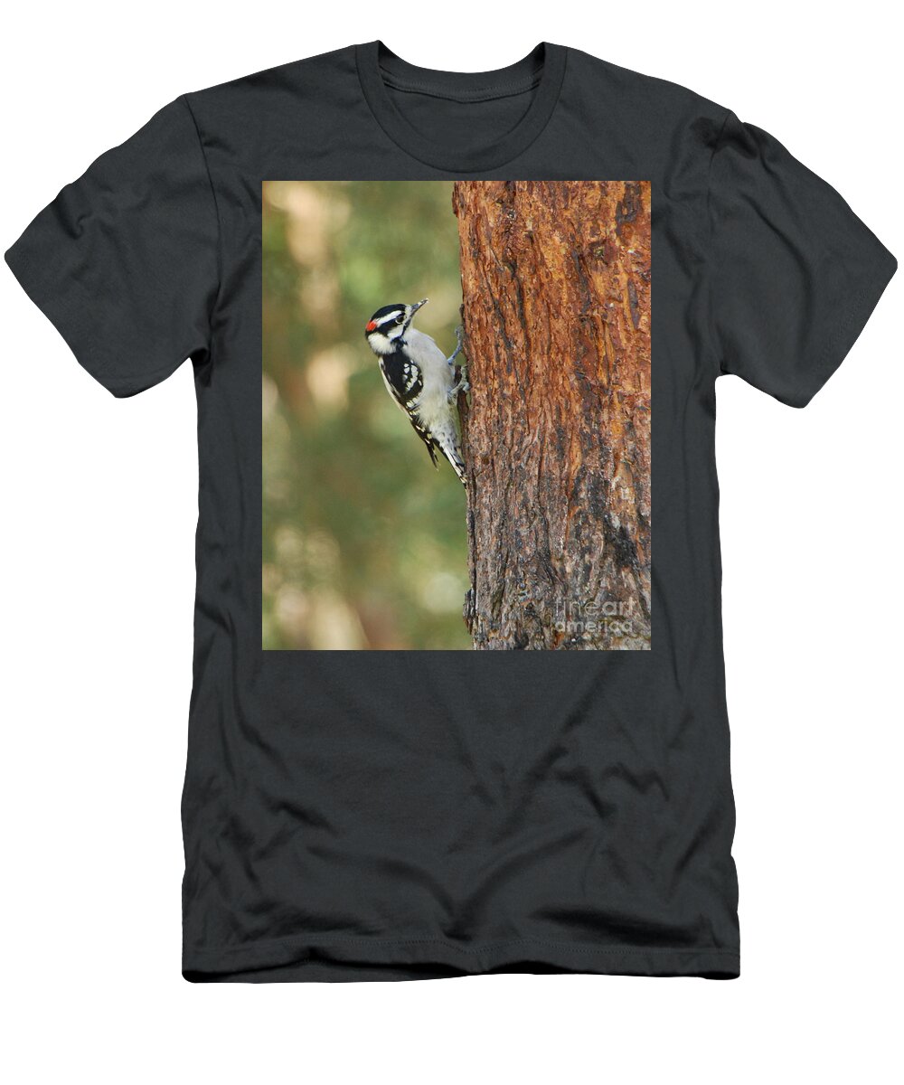 Bird T-Shirt featuring the photograph Checking it Out by Grace Grogan