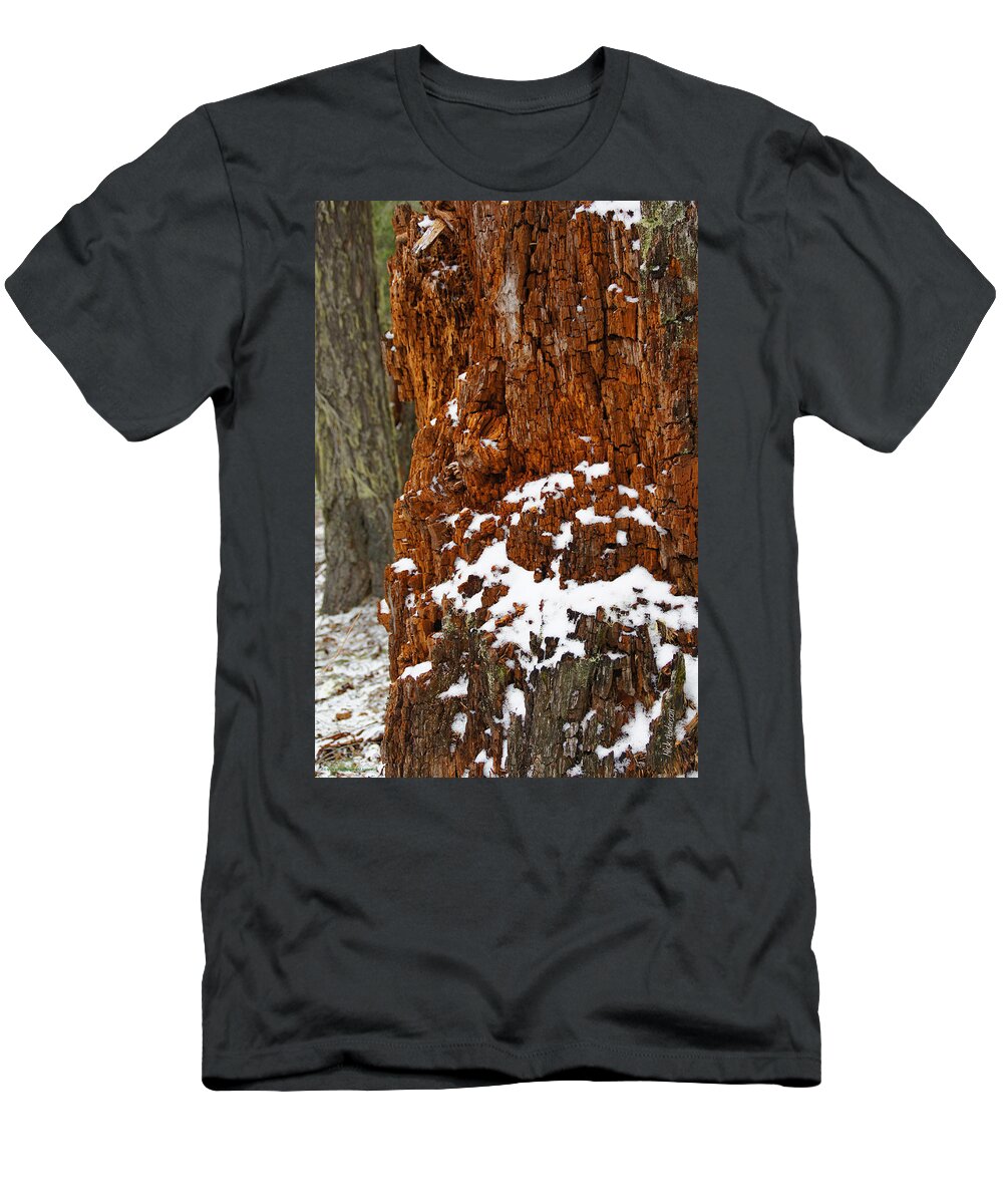 Remains T-Shirt featuring the photograph Colorful Remains by Mick Anderson
