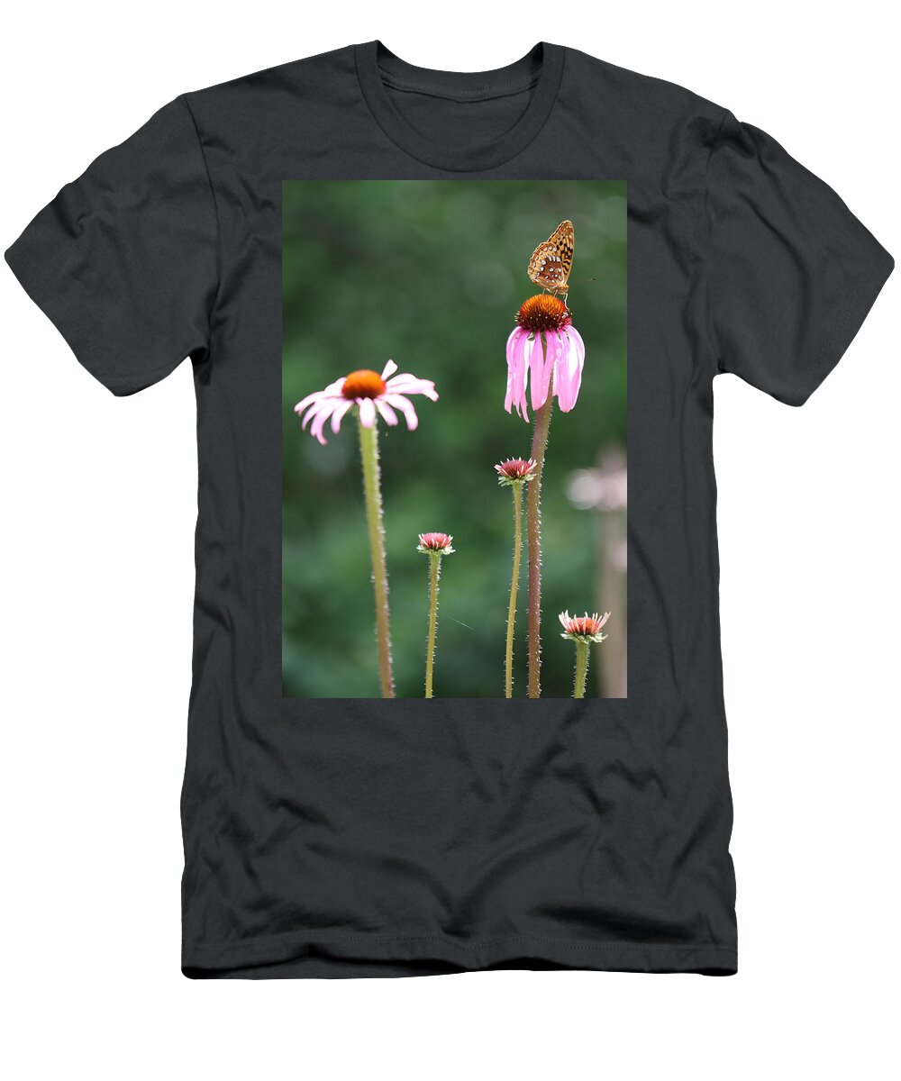Butterfly T-Shirt featuring the photograph Coneflowers And Butterfly by Daniel Reed