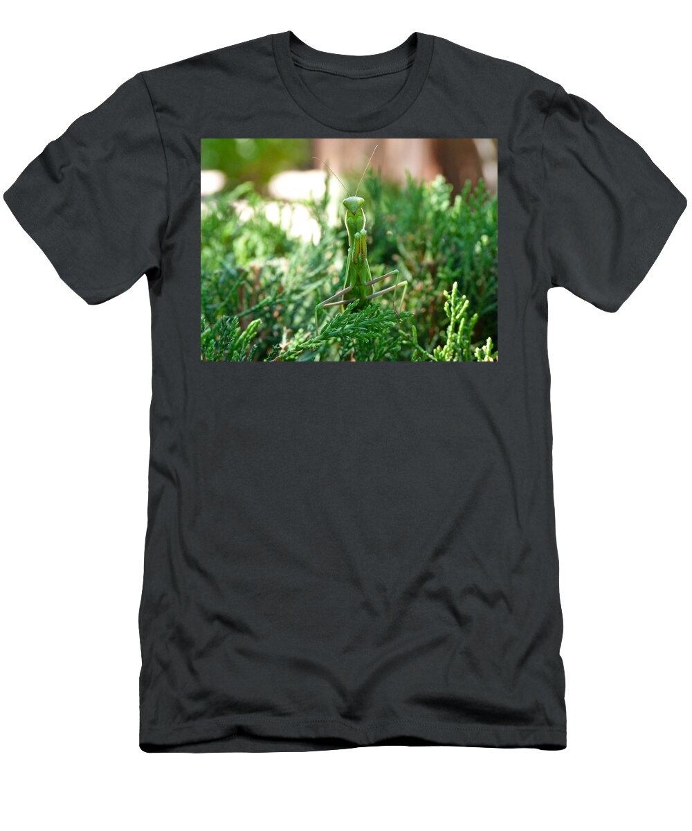 Praying T-Shirt featuring the photograph Count Your Blessings by Tom Roderick