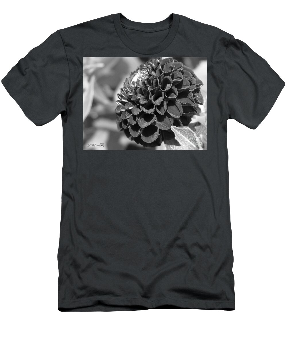Dahlia T-Shirt featuring the photograph Dahlia named Pride of Place by J McCombie