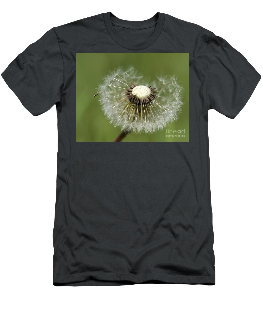 Dandelion T-Shirt featuring the photograph Dandelion Half Gone by Teresa Zieba