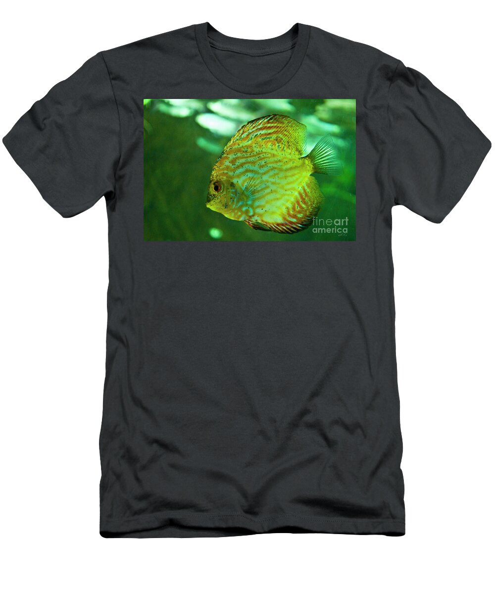 Marine Life T-Shirt featuring the photograph Discus Fish by Diego Re