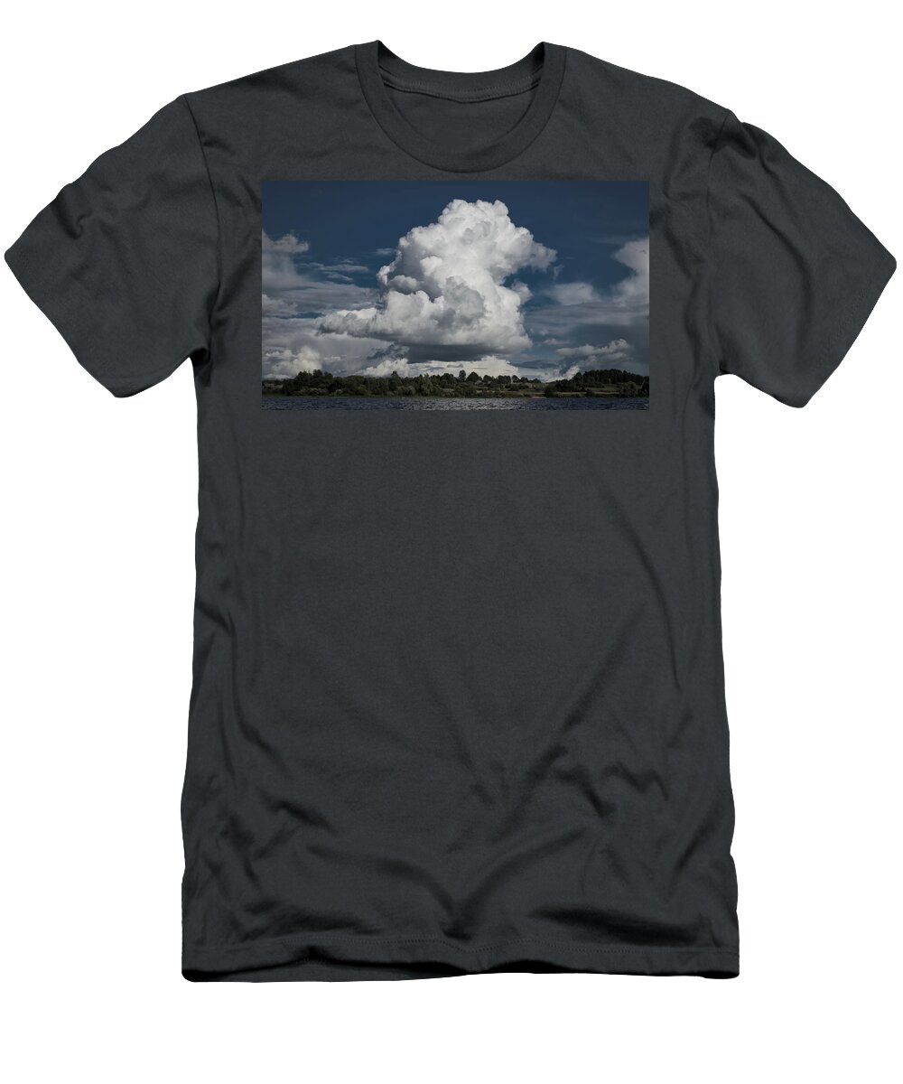 Beach T-Shirt featuring the photograph Dragon by Michael Goyberg
