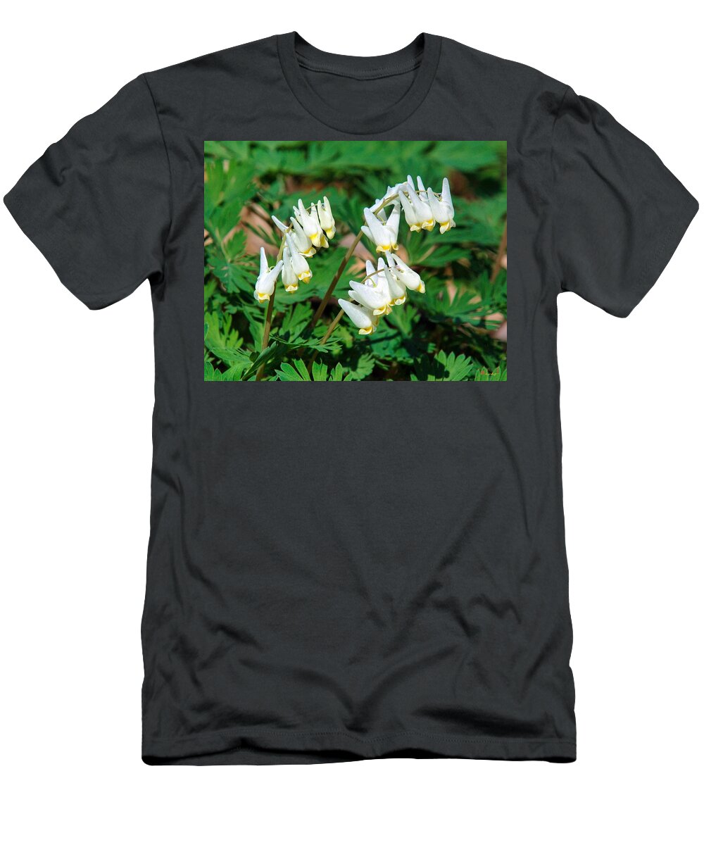 Spring T-Shirt featuring the photograph Dutchmans Breeches DSPF055 by Gerry Gantt