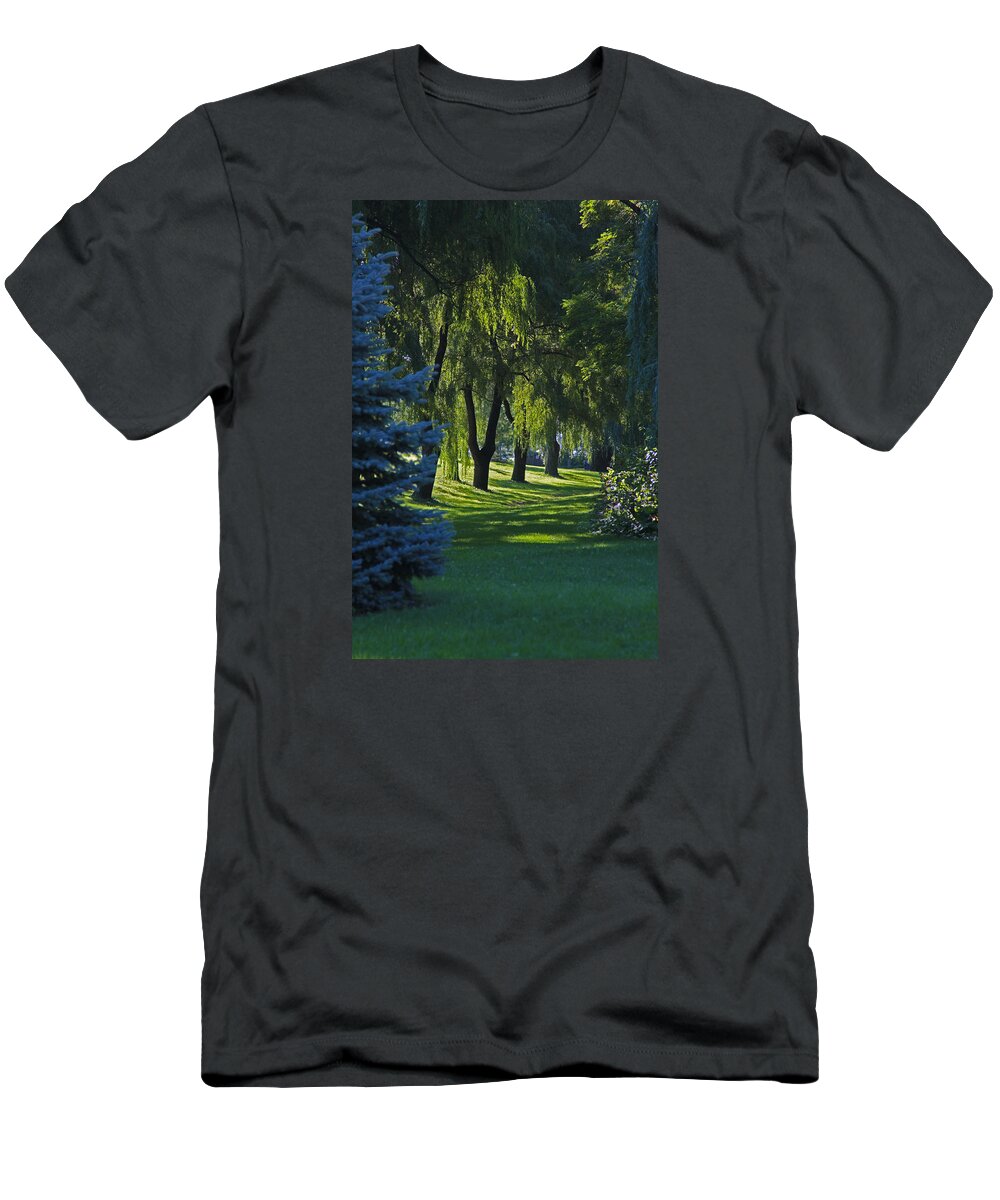 Trees T-Shirt featuring the photograph Early Morning by John Stuart Webbstock