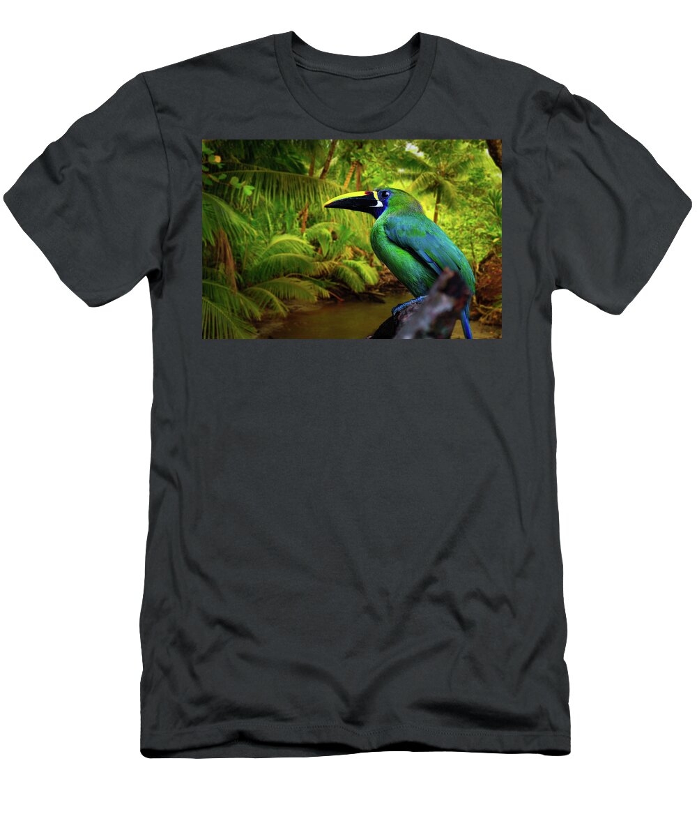 Toucan Photographs T-Shirt featuring the photograph Emerald and Blue Toucan by Harry Spitz