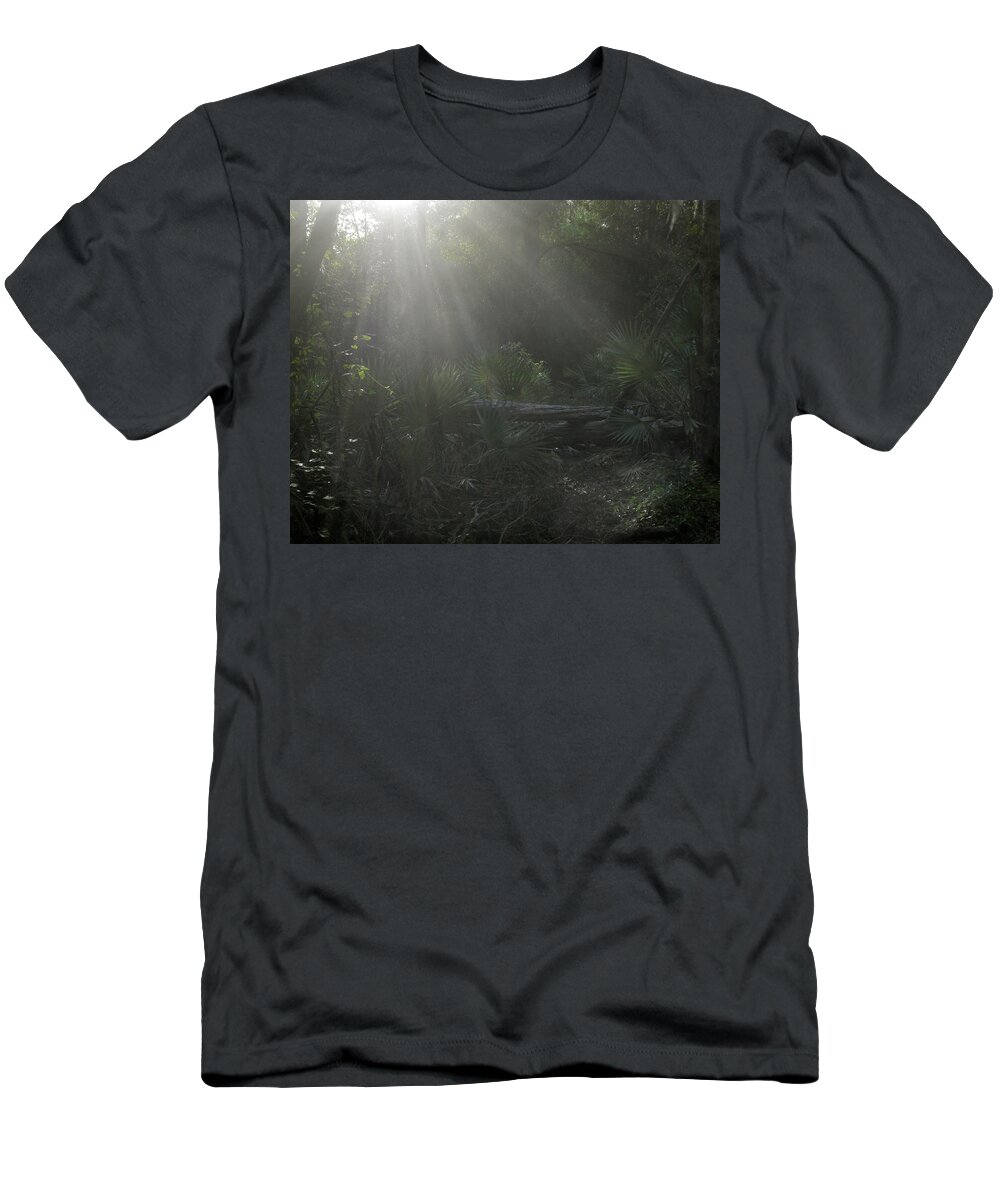 Nature T-Shirt featuring the photograph Enchanted Glen by Peggy Urban