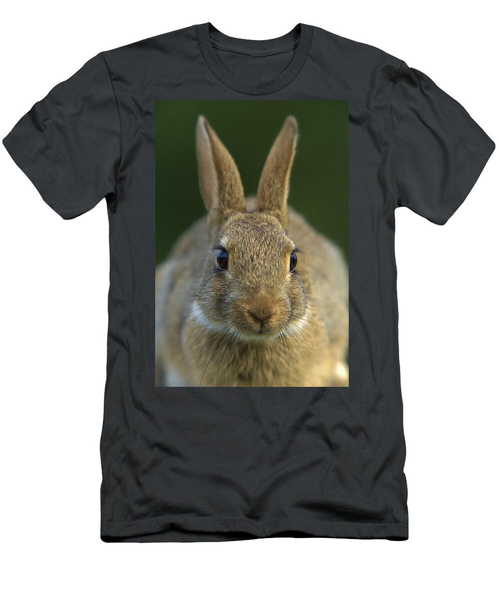 Mp T-Shirt featuring the photograph European Rabbit Oryctolagus Cuniculus by Cyril Ruoso