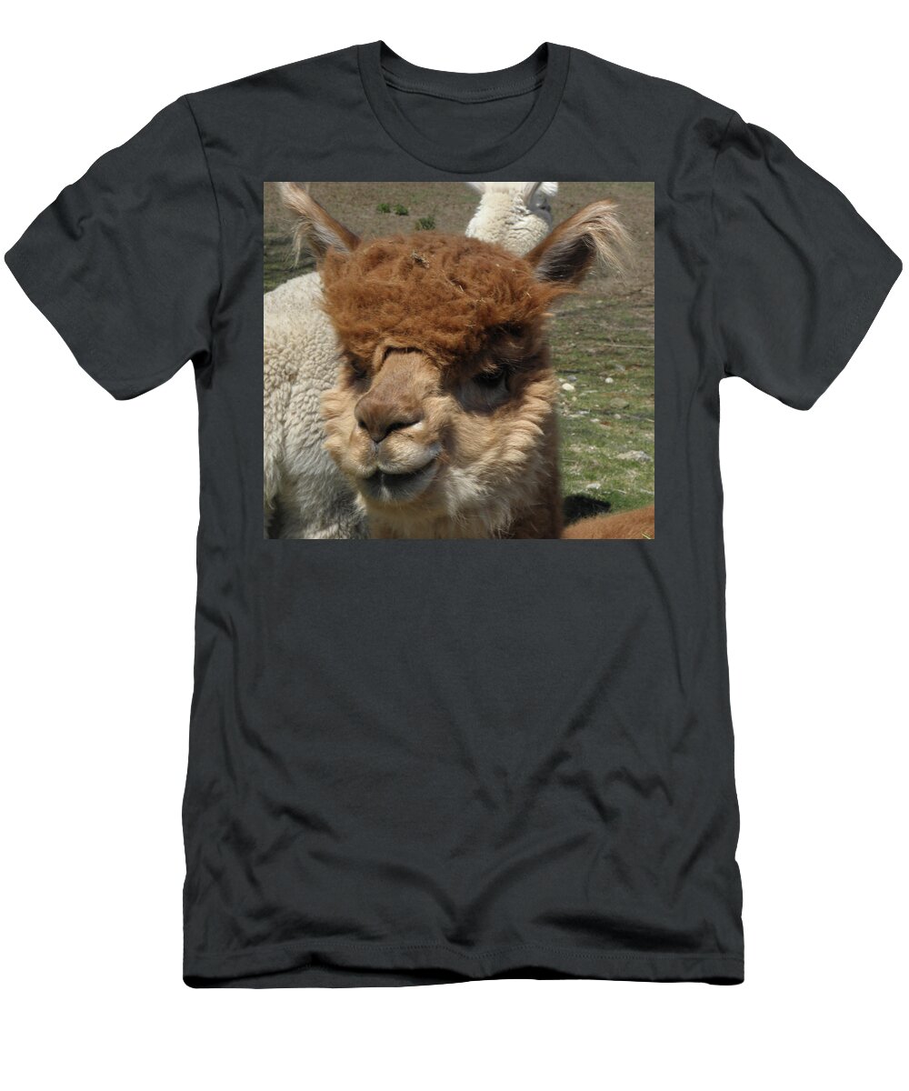 Alpaca T-Shirt featuring the photograph Ewok by Kim Galluzzo