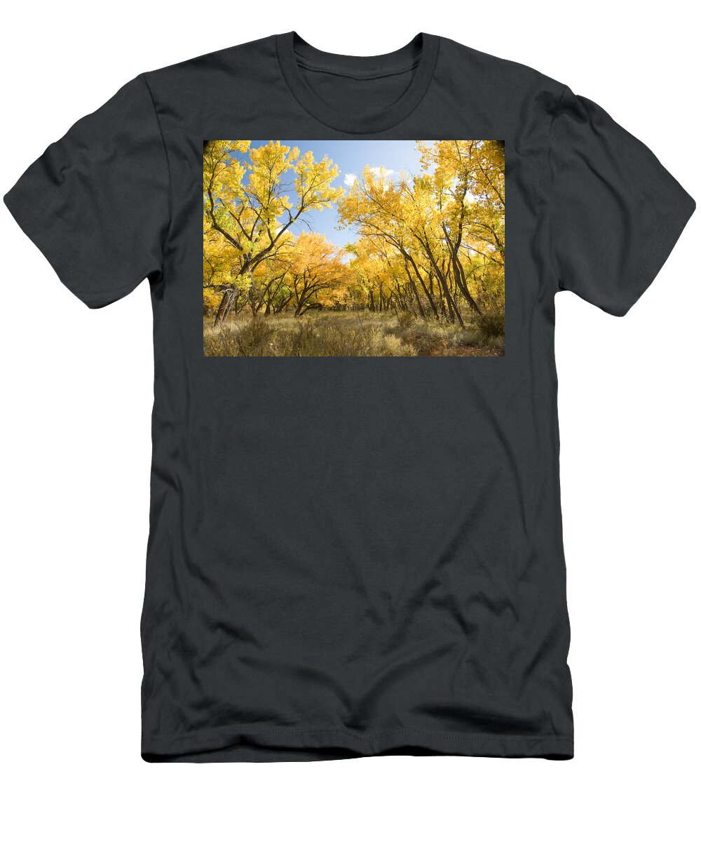 Fall Leaves T-Shirt featuring the photograph Fall Leaves in New Mexico by Shane Kelly