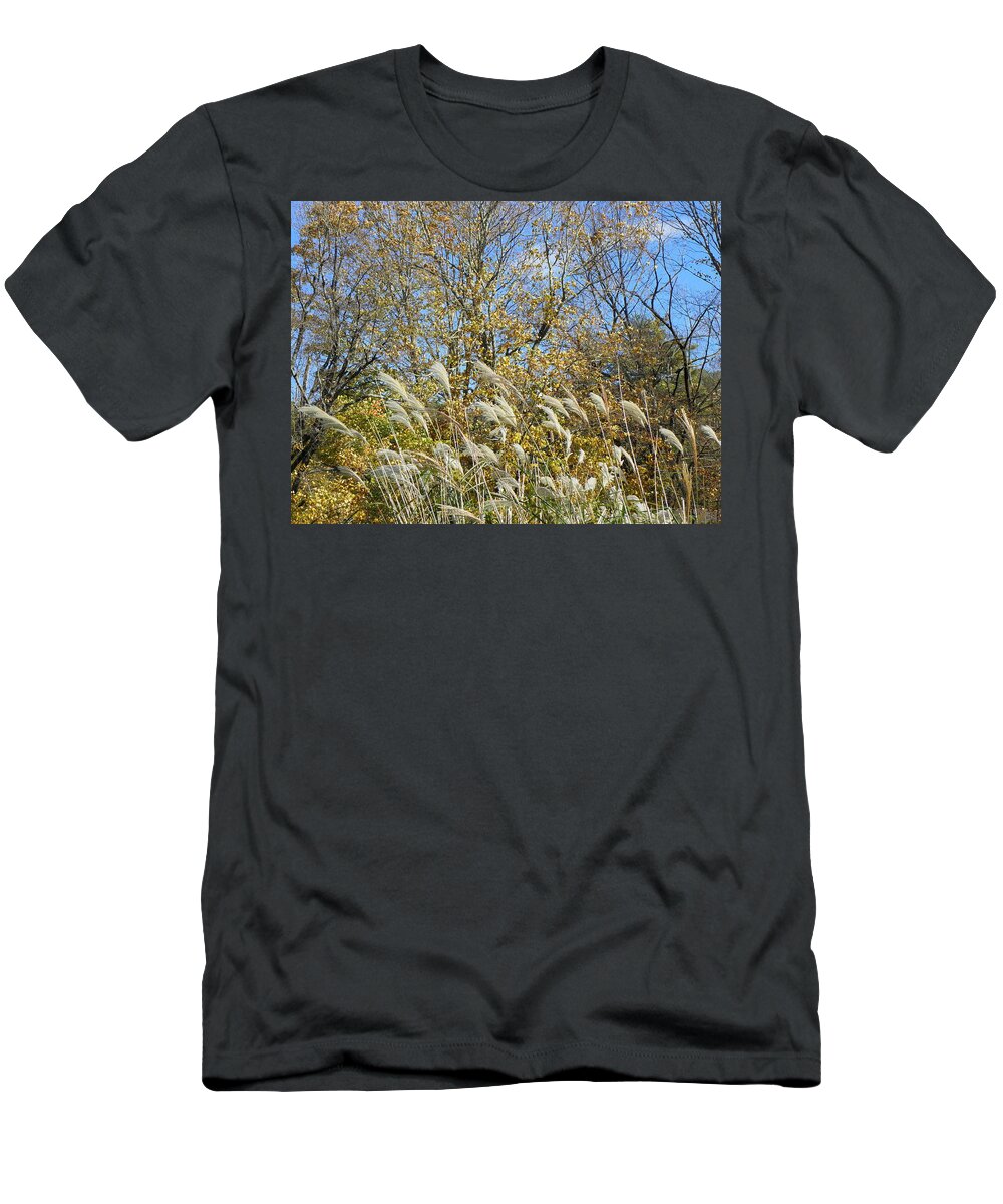 Fall T-Shirt featuring the photograph Fall scape in Connecticut by Kim Galluzzo Wozniak