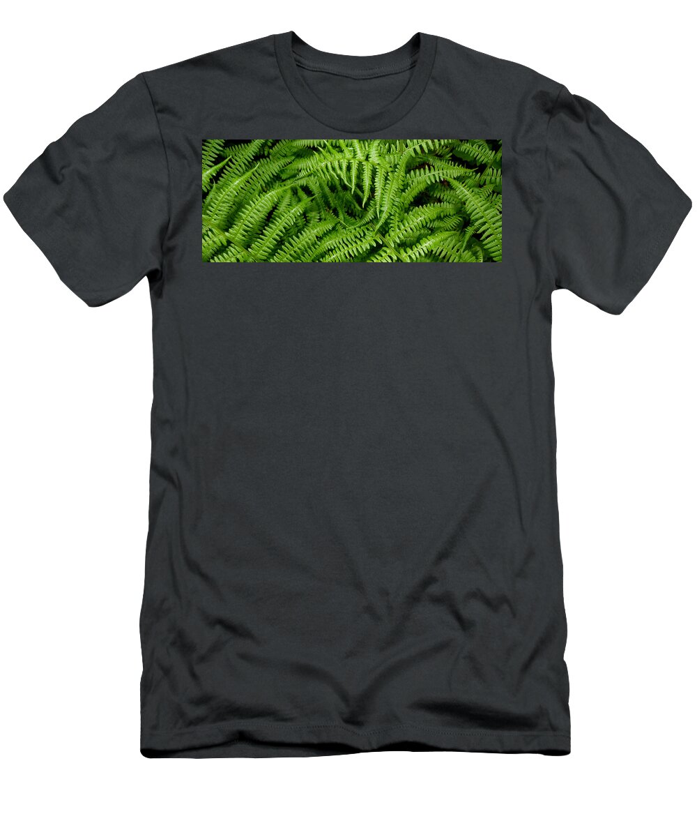Ferns T-Shirt featuring the photograph Ferns by Kim Galluzzo Wozniak