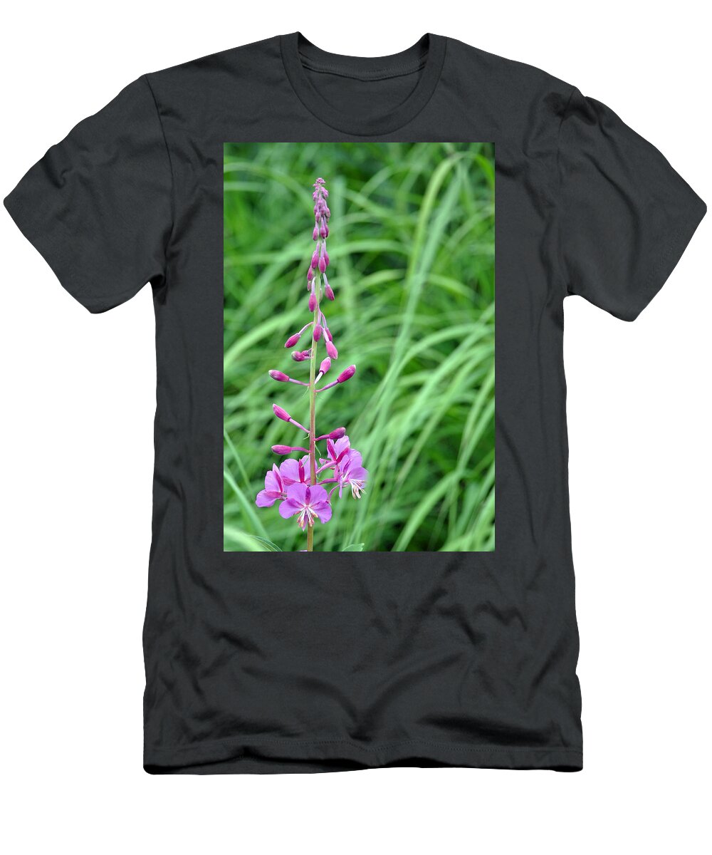 Alaska T-Shirt featuring the photograph Fireweed by Lisa Phillips