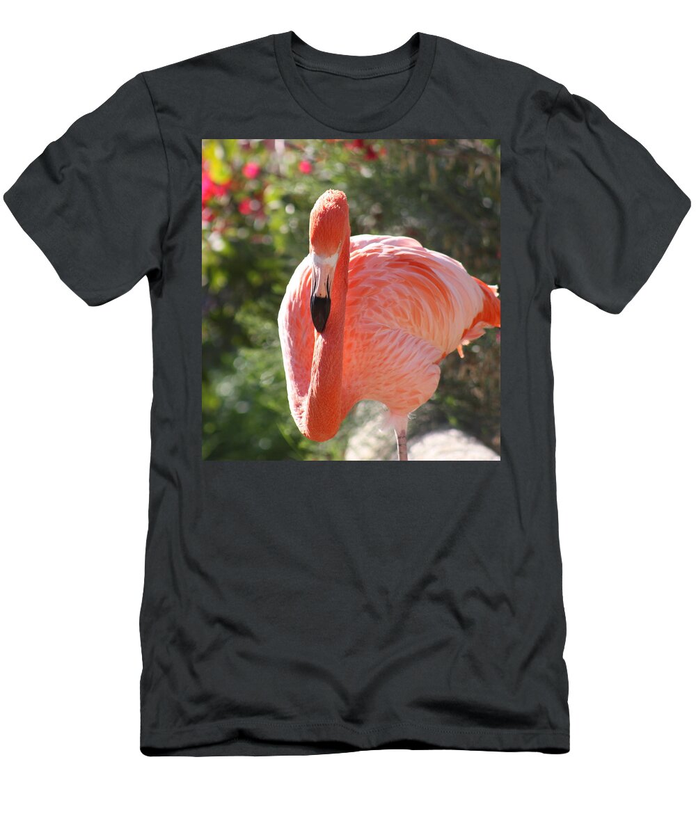 Flamingo T-Shirt featuring the photograph Flamingo by Kim Galluzzo Wozniak
