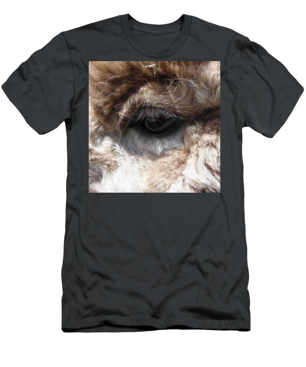 Alpaca T-Shirt featuring the photograph Fluffy Eyes by Kim Galluzzo Wozniak