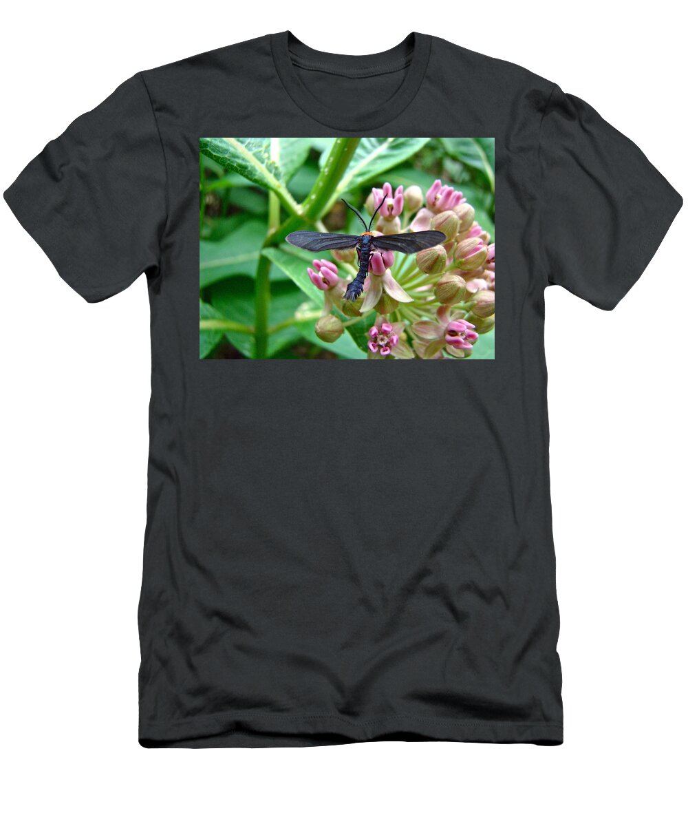 Grapeleaf Skeletonizer T-Shirt featuring the photograph Grapeleaf Skeletonizer Moth - Harrisina americana by Carol Senske
