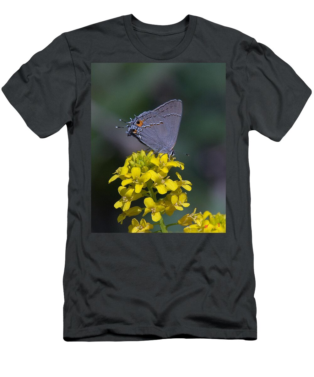 Nature T-Shirt featuring the photograph Gray Hairstreak Butterfly DIN044 by Gerry Gantt