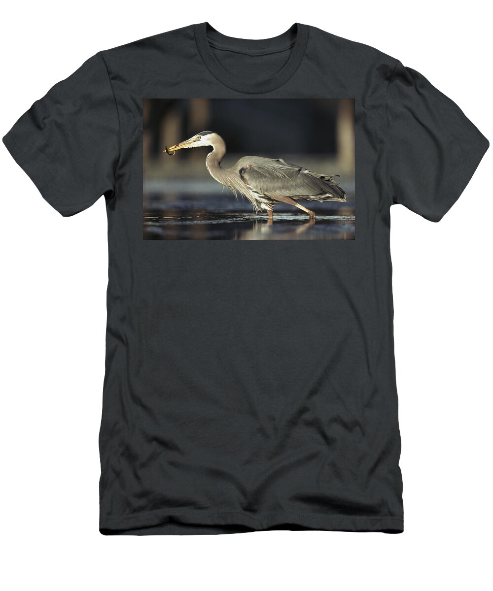 00171660 T-Shirt featuring the photograph Great Blue Heron With Captured Fish by Tim Fitzharris