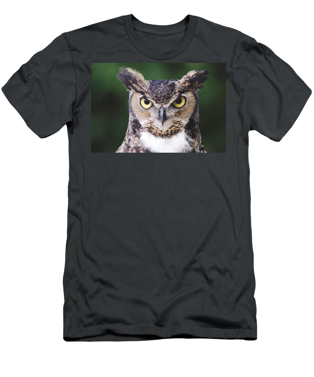 Mp T-Shirt featuring the photograph Great Horned Owl Bubo Virginianus by Gerry Ellis