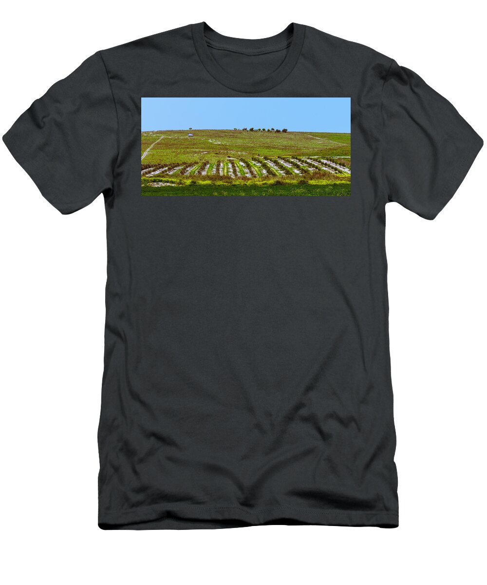 Agriculture T-Shirt featuring the photograph Green hills by Michael Goyberg