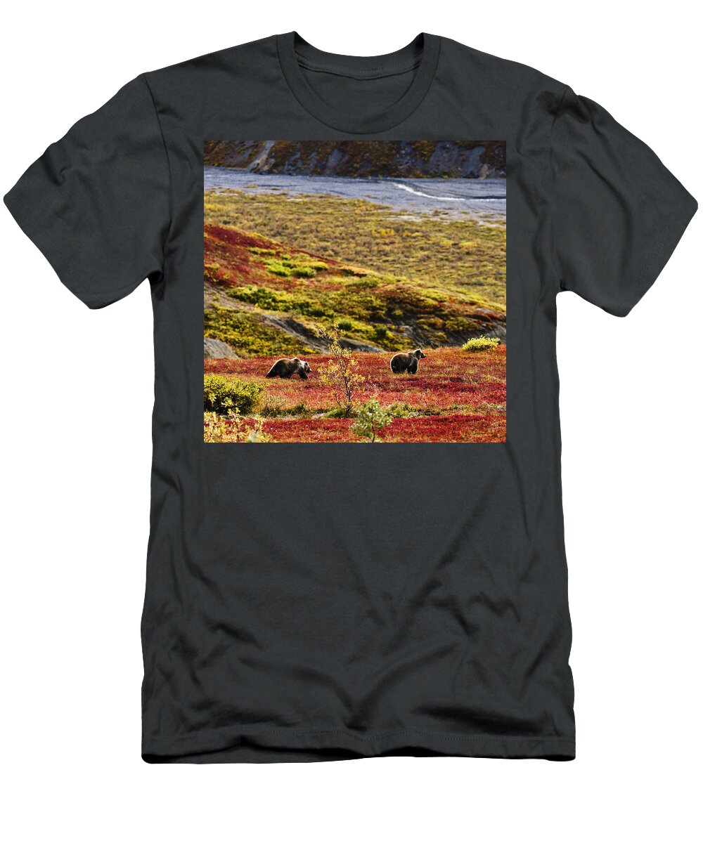 Animals In The Wild T-Shirt featuring the photograph Grizzly Bears And Fall Colours, Denali by Yves Marcoux