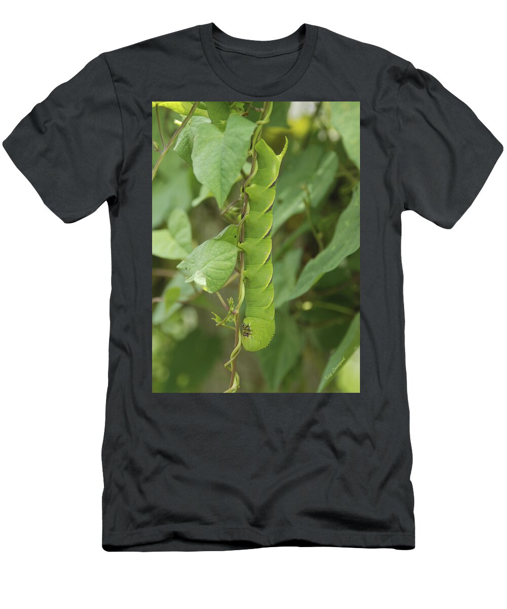 Tomato Hornworm T-Shirt featuring the photograph Hangin' Around by Kay Lovingood