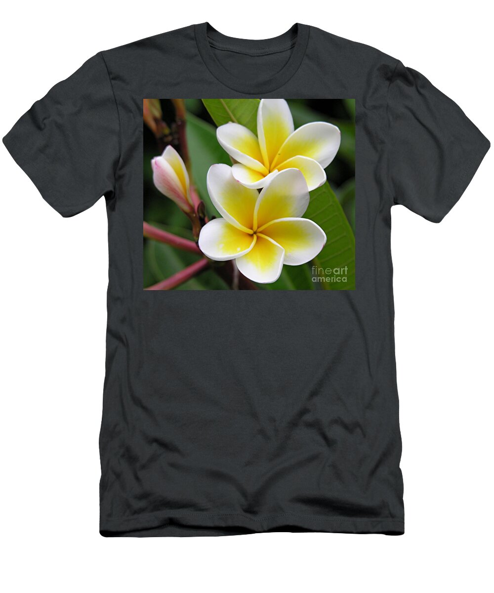 Kauai T-Shirt featuring the photograph Hawaii by Diane Lesser