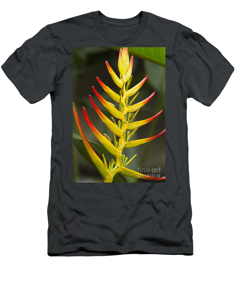 Heliconia T-Shirt featuring the photograph Heliconia Gloriosa by Heiko Koehrer-Wagner