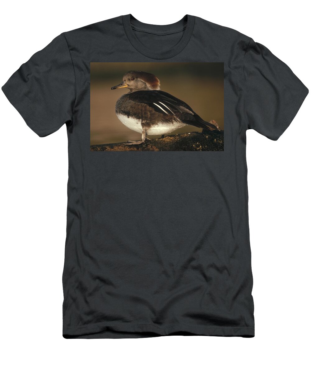 00171873 T-Shirt featuring the photograph Hooded Merganser Female Portrait by Tim Fitzharris